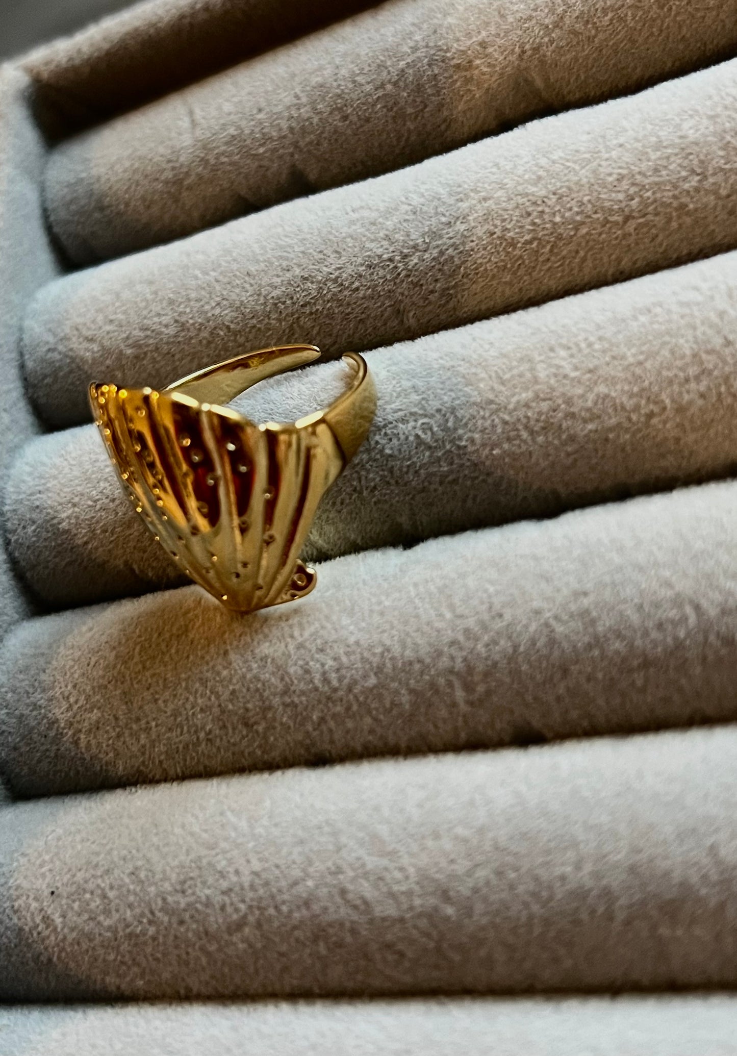 Beach ring