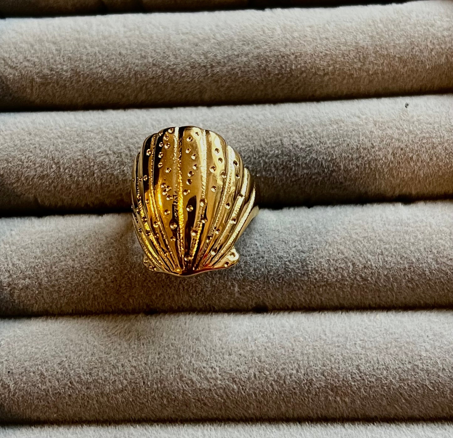 Beach ring