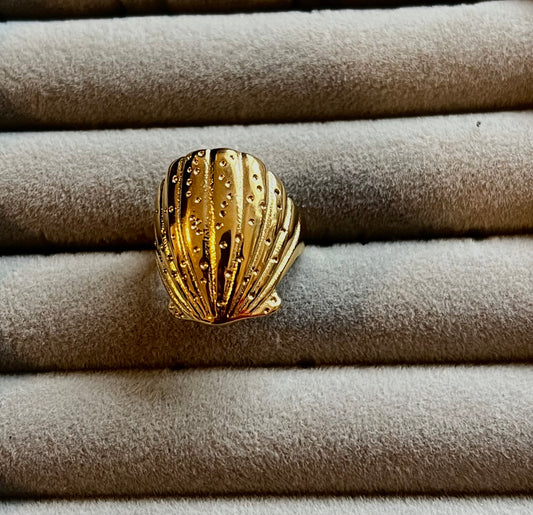 Beach ring
